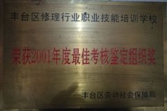 骚逼网站观看